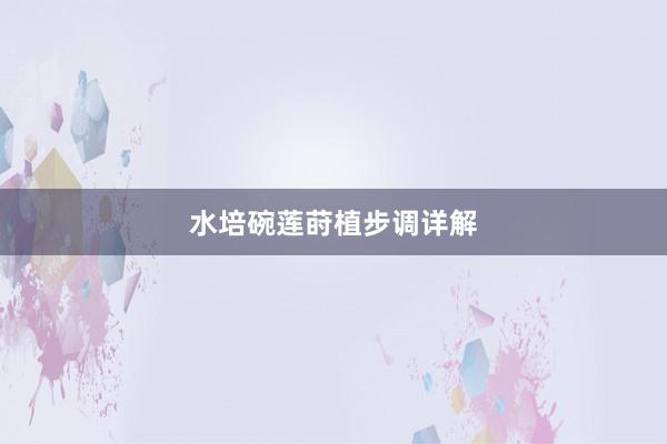 水培碗莲莳植步调详解