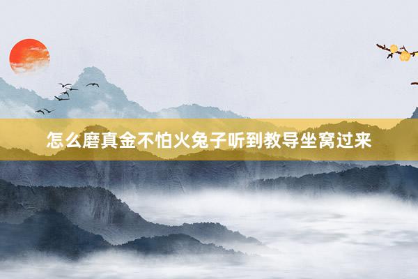 怎么磨真金不怕火兔子听到教导坐窝过来