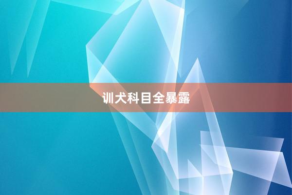 训犬科目全暴露