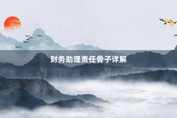 财务助理责任骨子详解