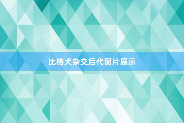 比格犬杂交后代图片展示