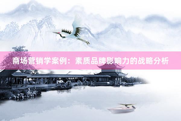 商场营销学案例：素质品牌影响力的战略分析