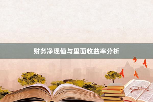 财务净现值与里面收益率分析